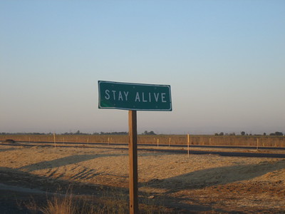 road sign stay alive community college