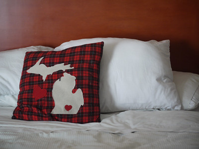 Michigan pillow Michigan's population
