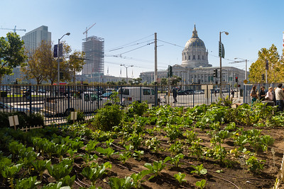 Investing in farmland comes in many forms